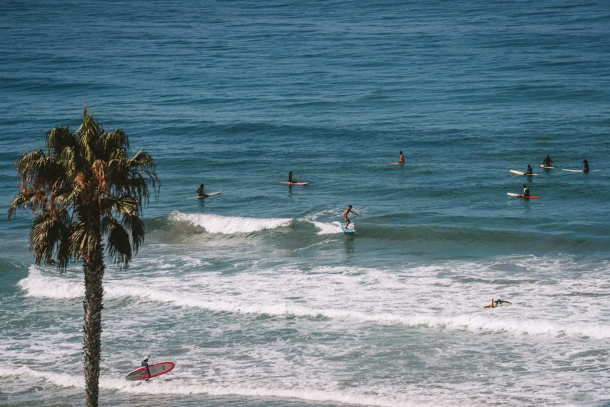 Surfistas en California para cosas divertidas que hacer en California blog