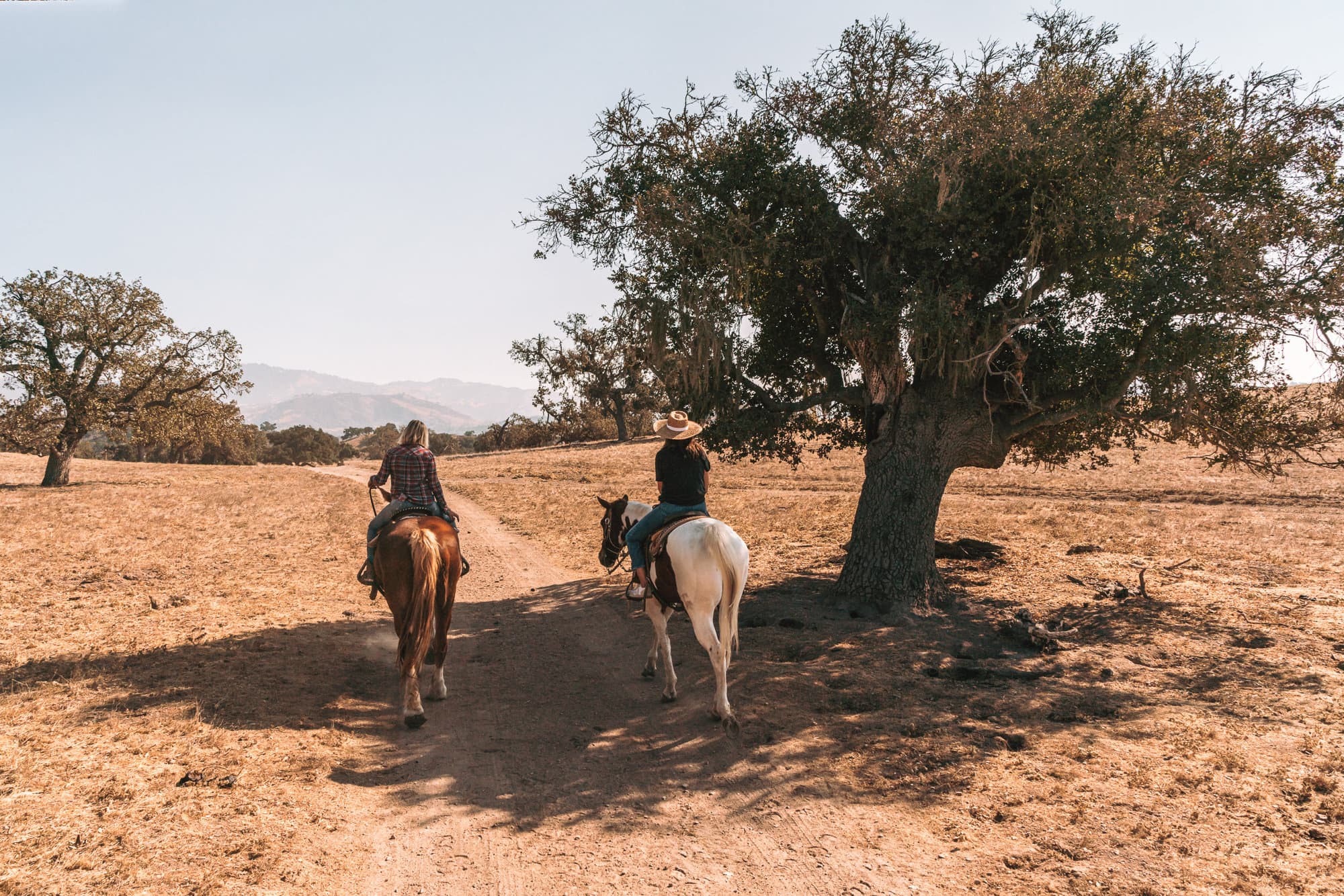 Paseos a caballo en el valle de Santa Ynez