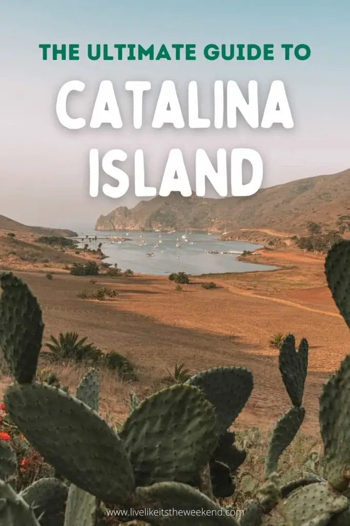 Pin cover para guía de Isla Catalina
