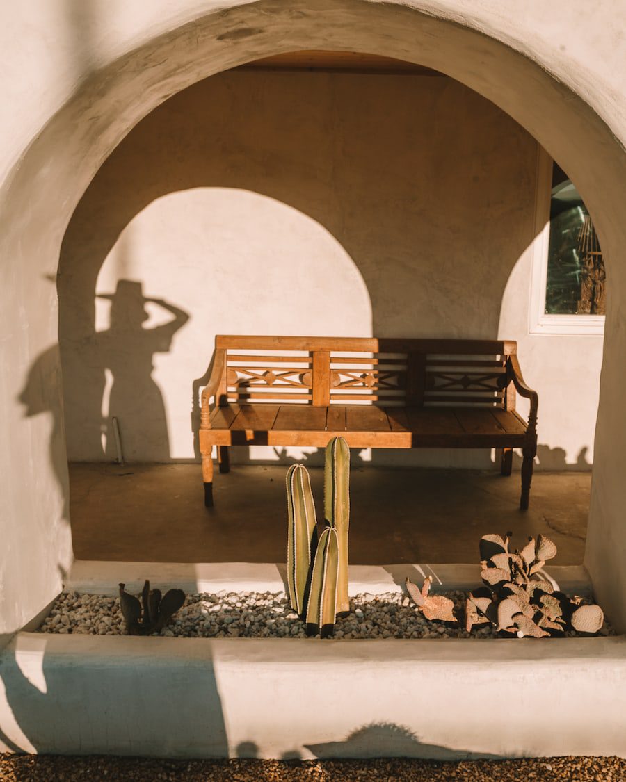 Banco y cactus con la sombra de Michelle Halpern en Joshua Tree