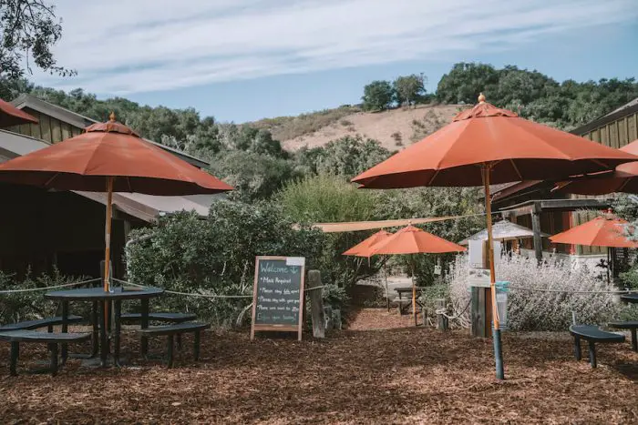 Sala de degustación al aire libre de la bodega Foxen en una de las mejores regiones vinícolas de California