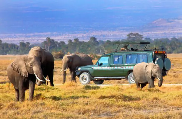 Reserva Nacional de Maasai Mara: Cómo planificar, reservar y disfrutar un safari 2024