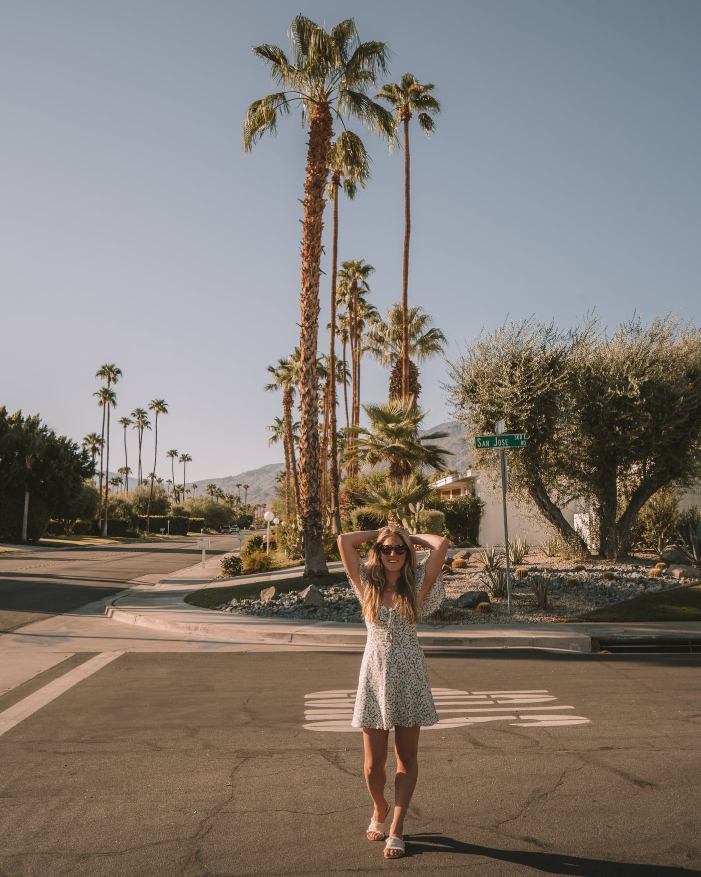 Calles bordeadas de palmeras en Palm Springs, California