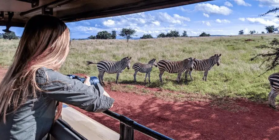 Parque Nacional de Akagera: Cómo hacer un safari en Ruanda en 2024 Parque Nacional de Akagera: Cómo hacer un safari en Ruanda en 2024