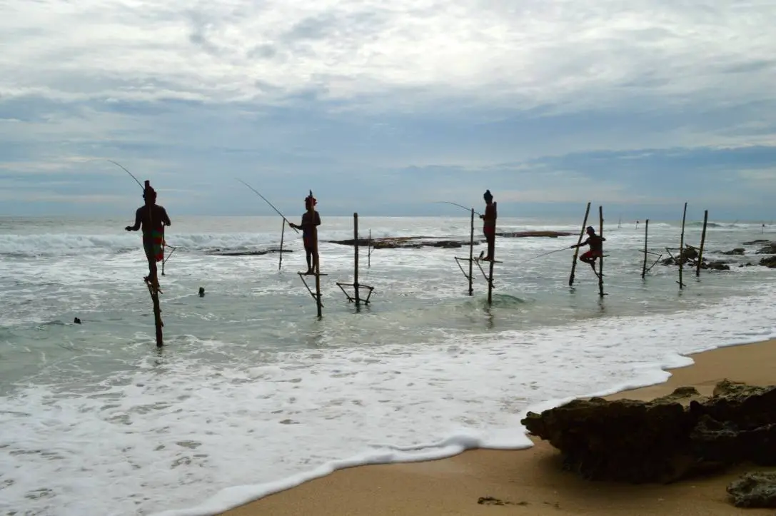 pescadores en zancos-sri-lanka