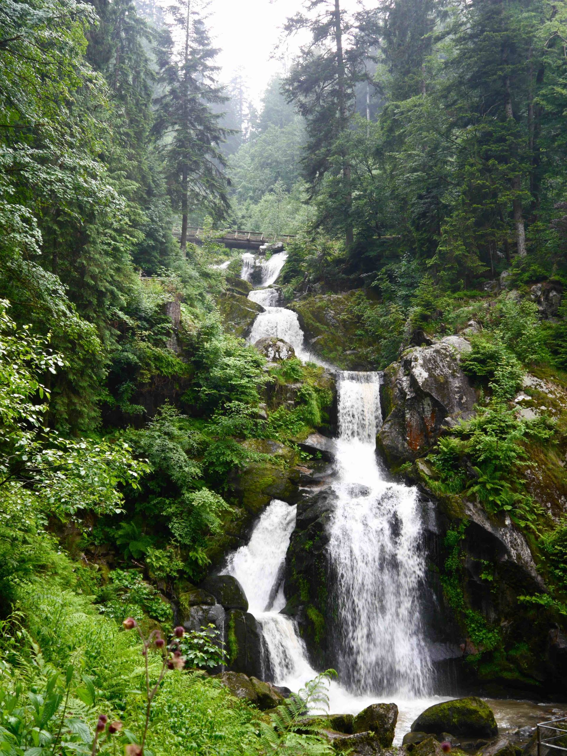 Cascadas de Triberg | Cosas que hacer en la Selva Negra