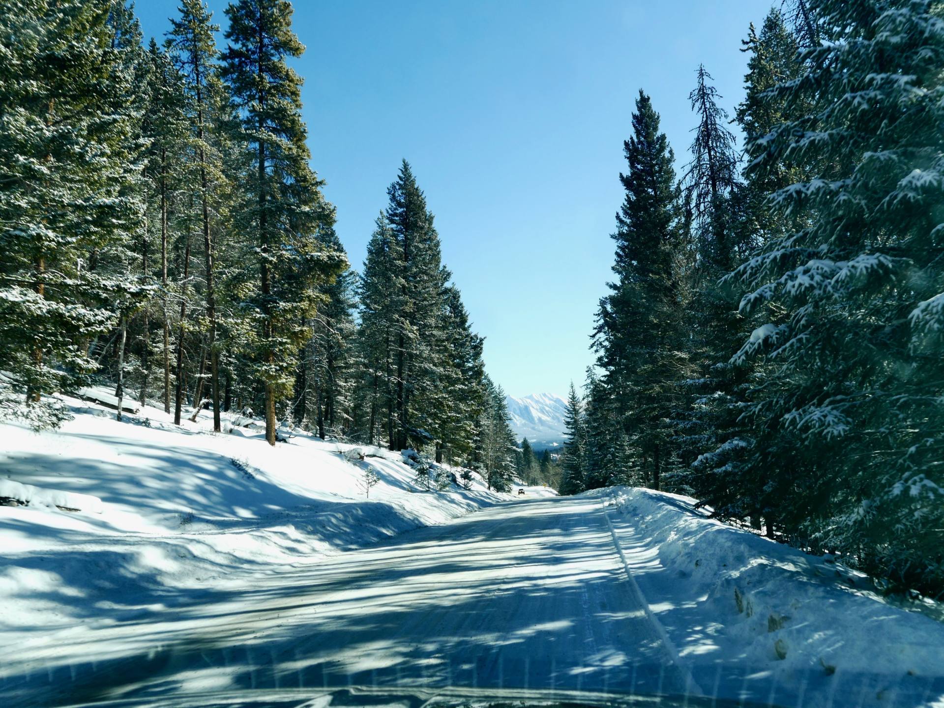 El itinerario de viaje de invierno definitivo de las Montañas Rocosas canadienses
