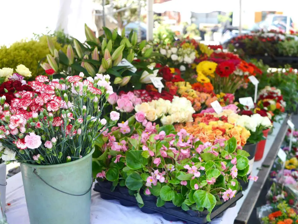 mercado de flores-graz