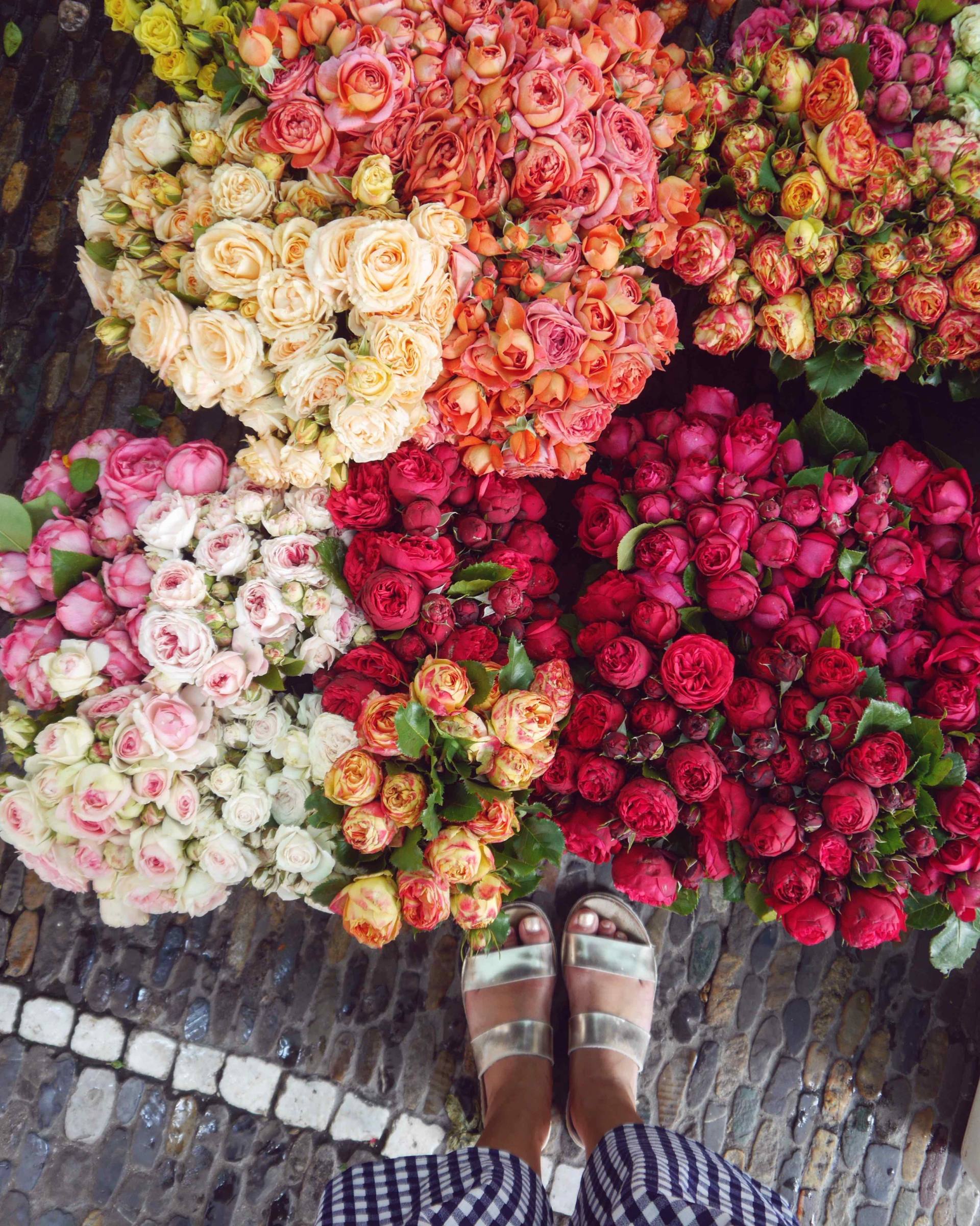 Mercado de Flores Rosas | Lugares instagrameables en Friburgo