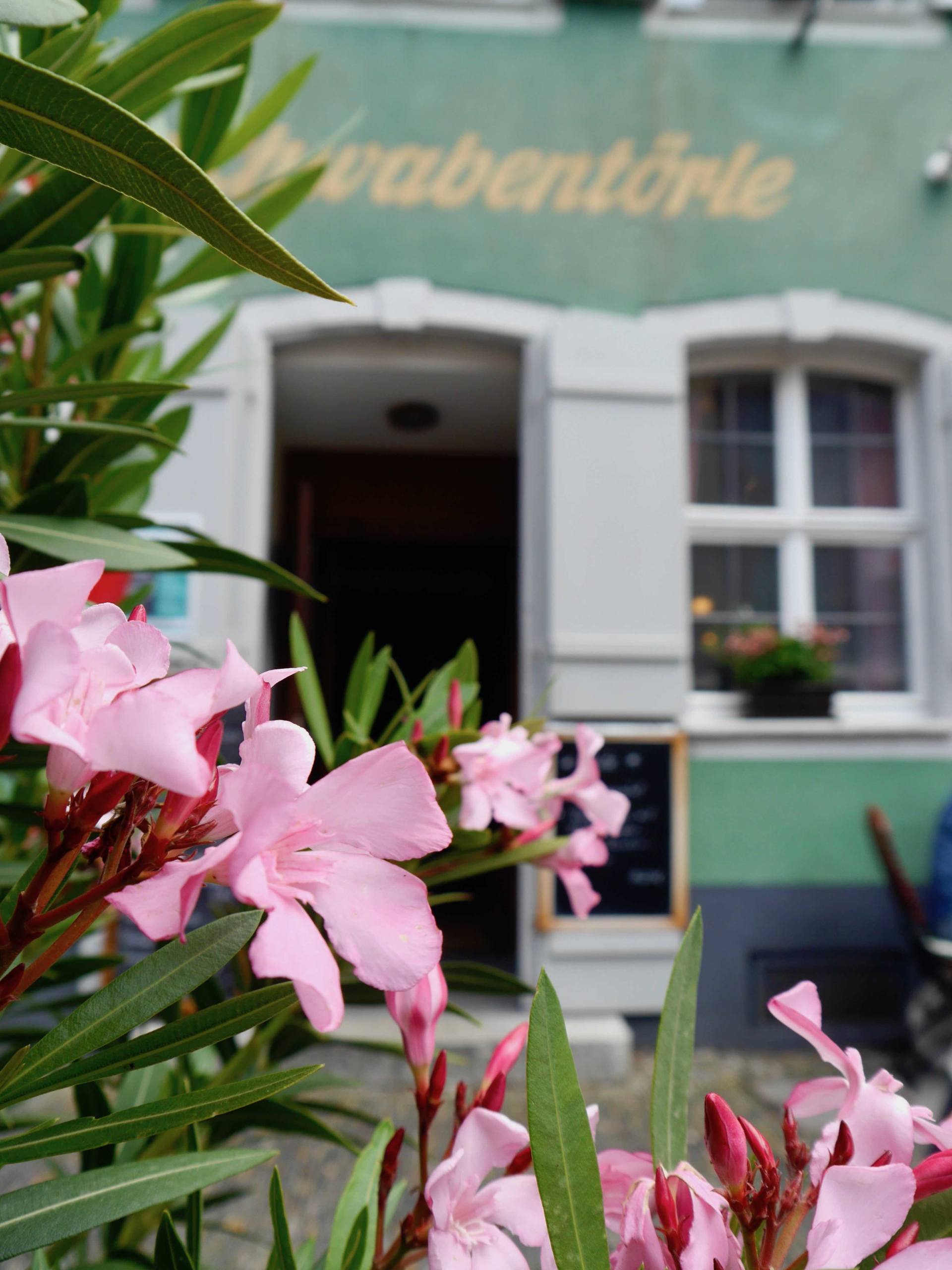 Flores | Los lugares más instagrameables de Friburgo