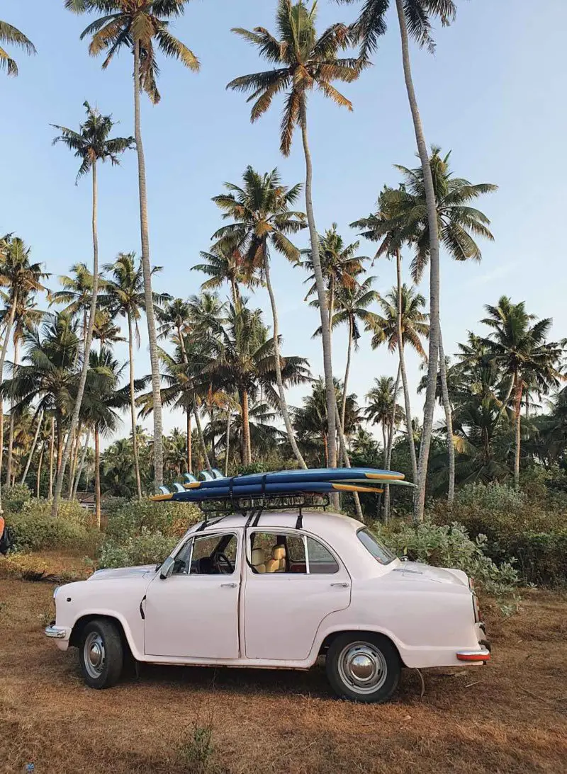 Kerala palmeras coche rosa
