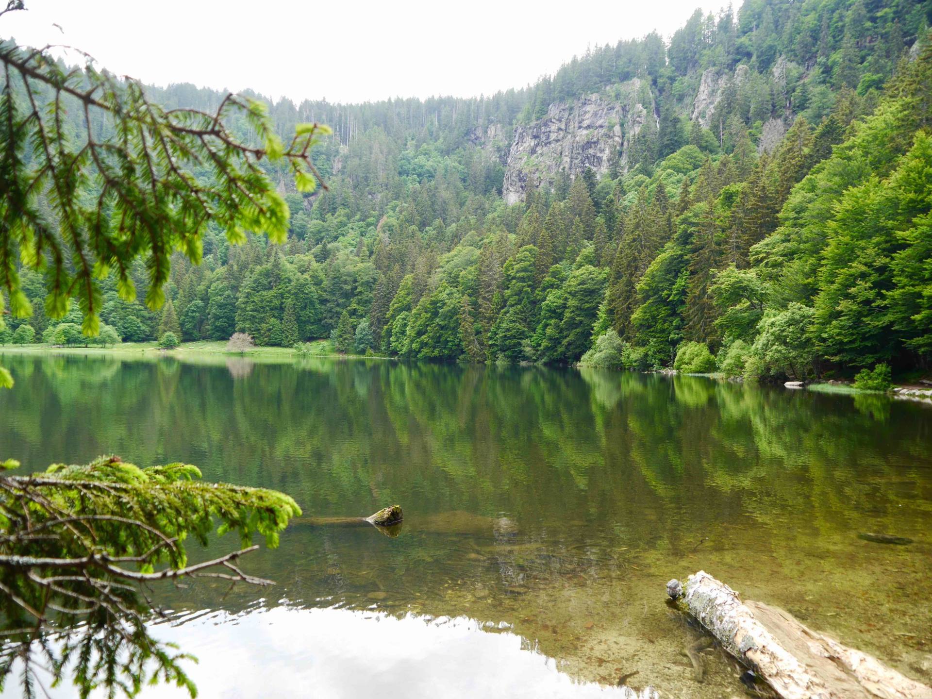 Lago Feldsee | Ruta de la Selva Negra