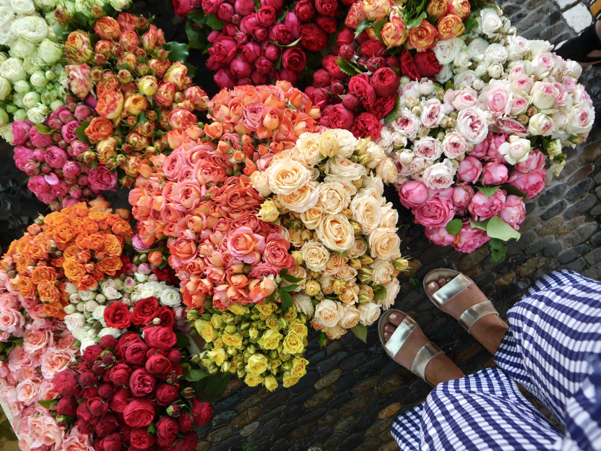 Mercado de flores | Ruta de la Selva Negra