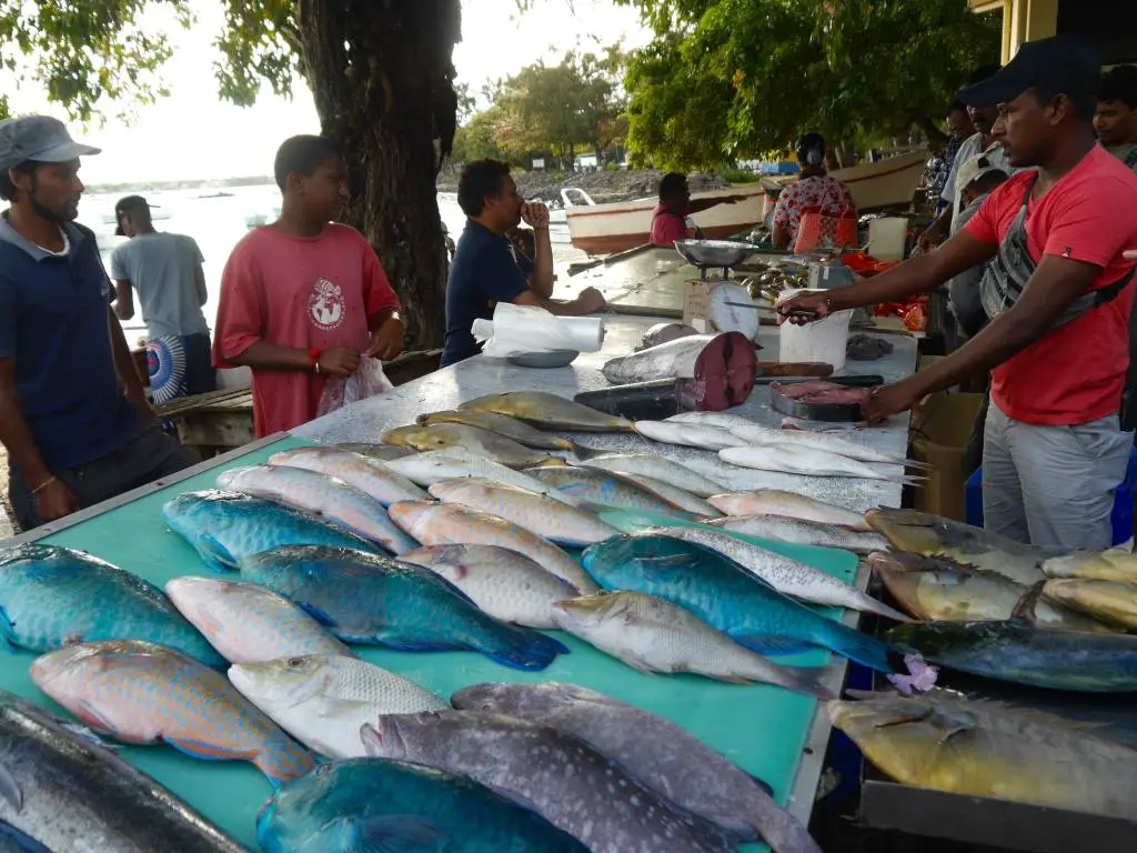 grand-baie-fish-market-mauricio