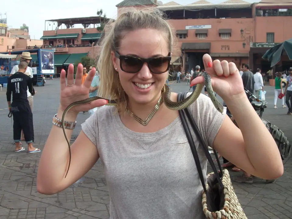 Cuando en Roma... Encantadora serpiente en la plaza Jmaa el Fna en Marrakech