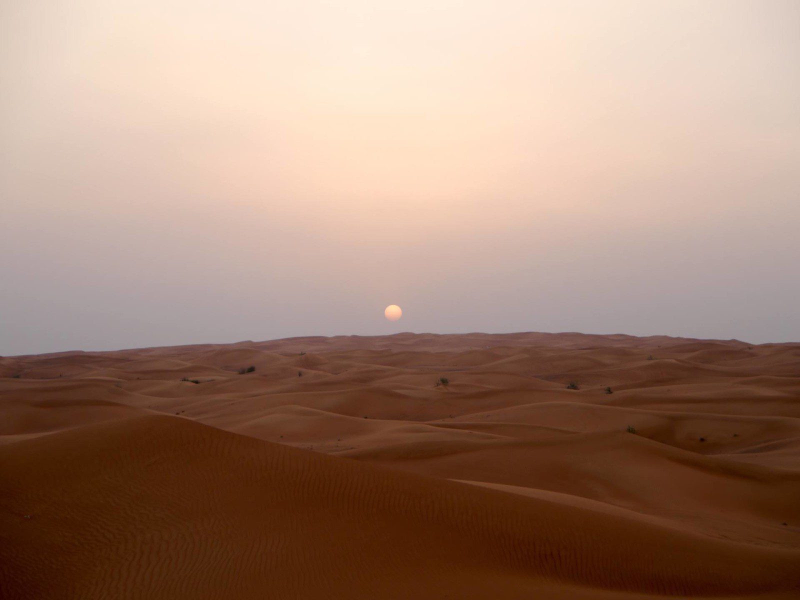 Una guía para la experiencia en buggy por las dunas de Dubái