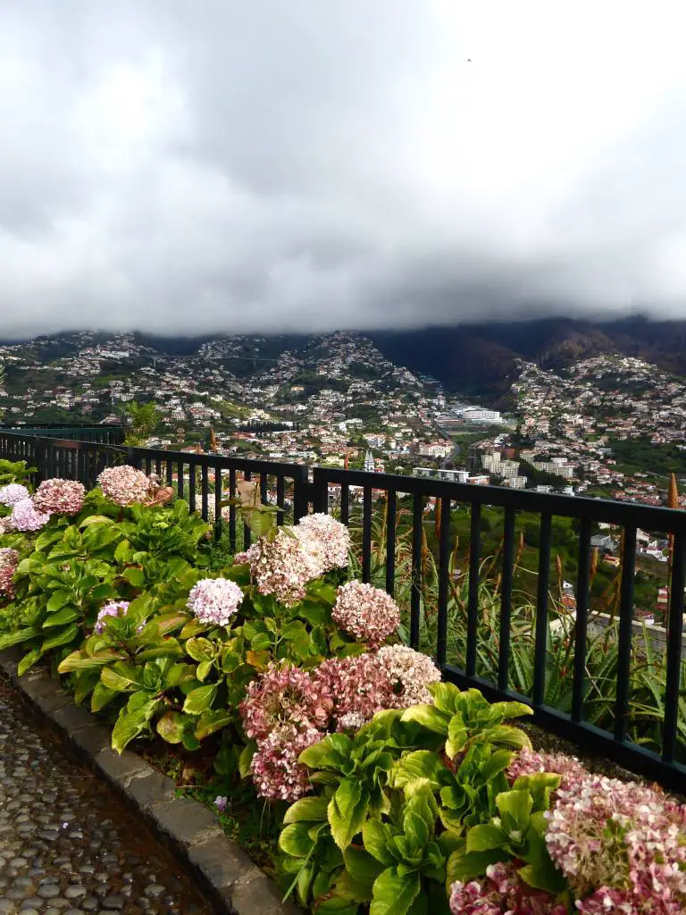 Una guía para principiantes de Madeira