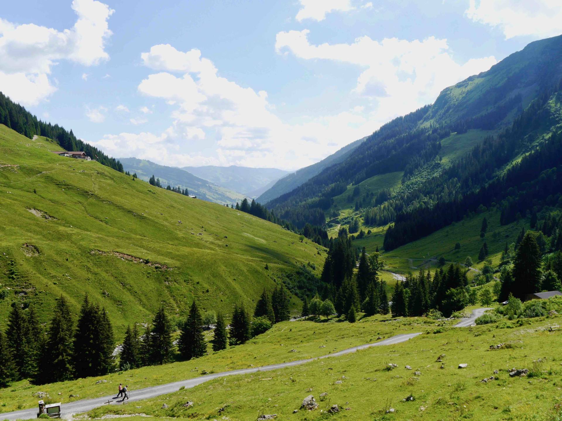 Unas vacaciones de spa ecológico en los Alpes austríacos
