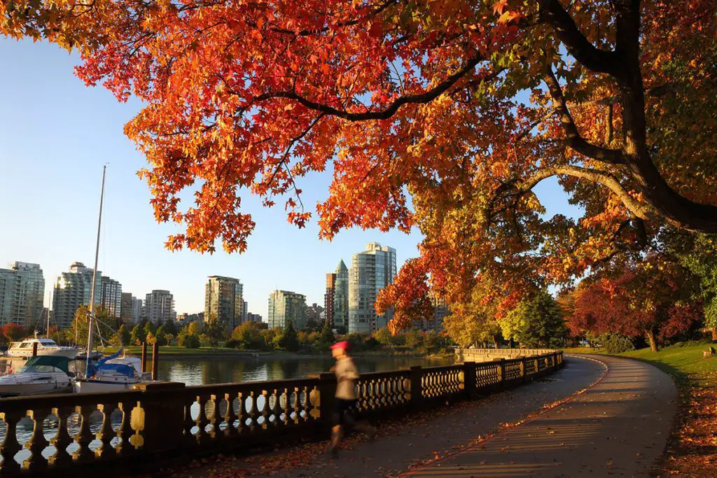 Mejores épocas para visitar Canadá - otoño en canada