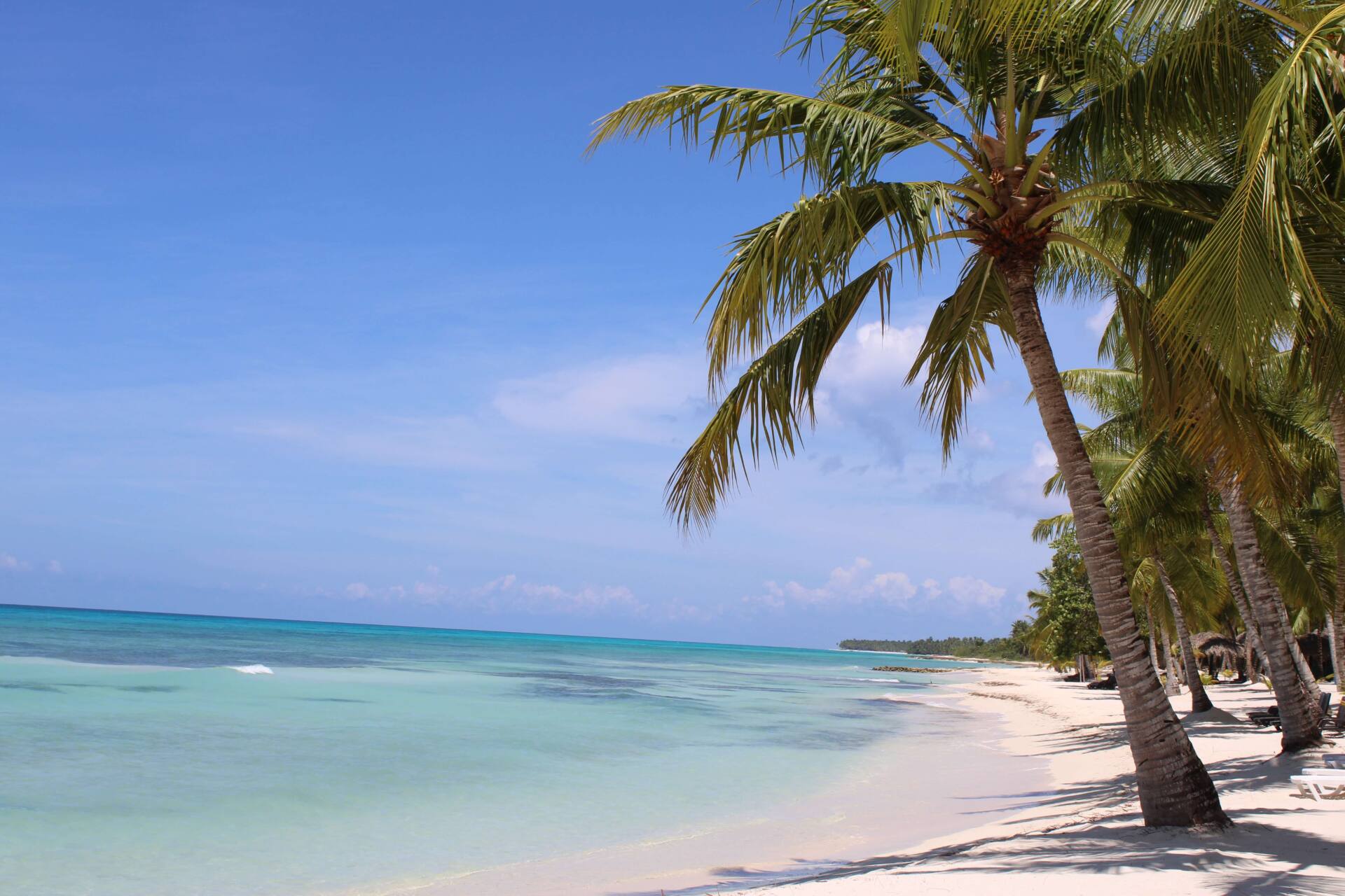 Qué hacer en Punta Cana: visitar la isla de Saona