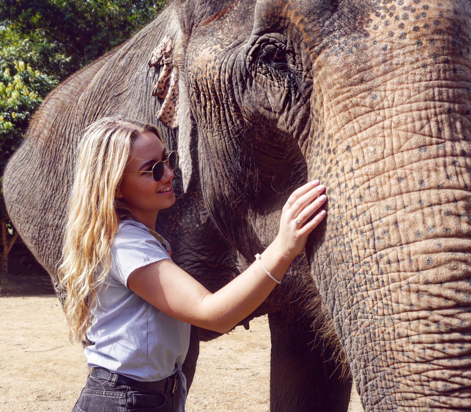 La forma ética de conocer elefantes en Chiang Mai