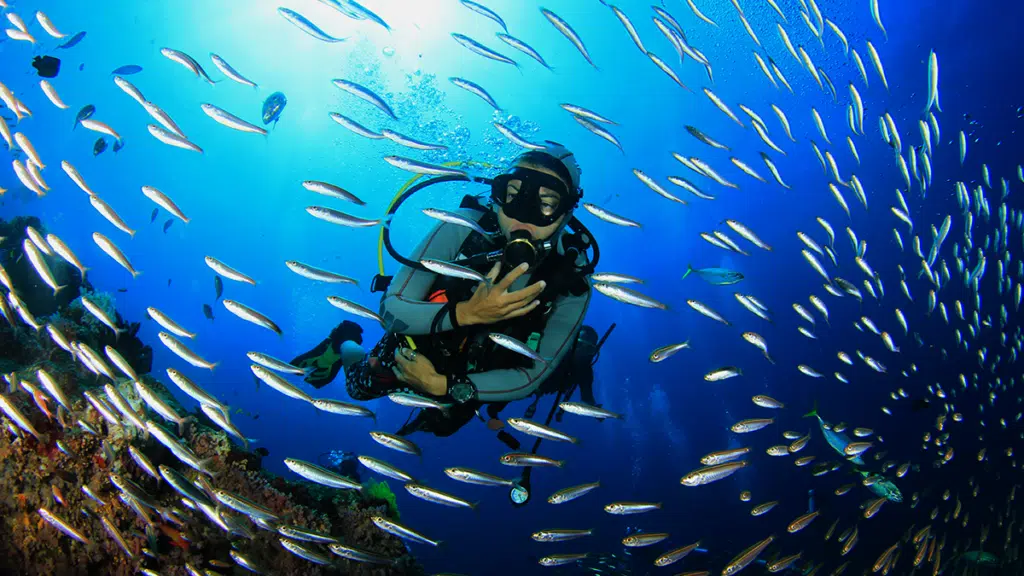 Buceo en Costa Rica: Cómo bucear en 2 océanos en un solo viaje