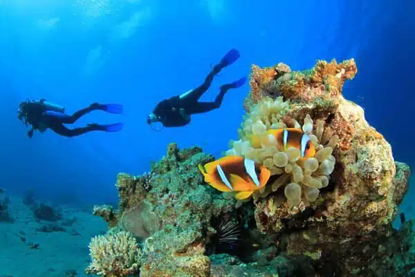 Buceo en Costa Rica: Cómo bucear en 2 océanos en un solo viaje
