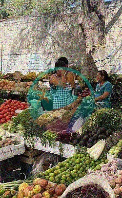 Vacaciones de estudio de español en Oaxaca con visitas a mercados y galerías