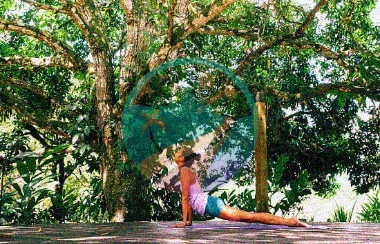 Resort de yoga en Belice
