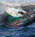 Ballena jorobada en el Océano Pacífico