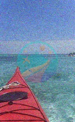 Remar en kayak en Belice alrededor del atolón Glover con Island Expeditions