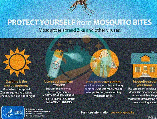 Recomendaciones de mosquitos de los CDC