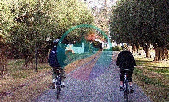 Ciclismo con una empresa de turismo: las mejores cosas para hacer en Mendoza.
