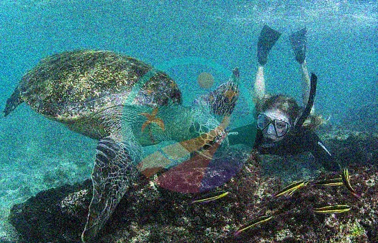 Snorkel en las Islas Galápagos