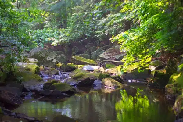 Foster Falls Chattanooga
