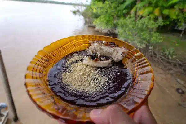 La experiencia de comer el Açaí con familia local 