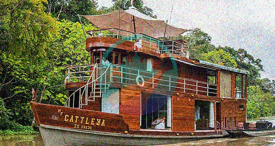 Crucero por el río Cattleya