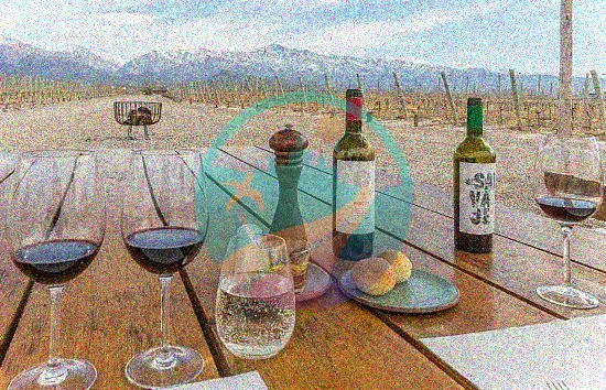 Cata de vinos en Mendoza
