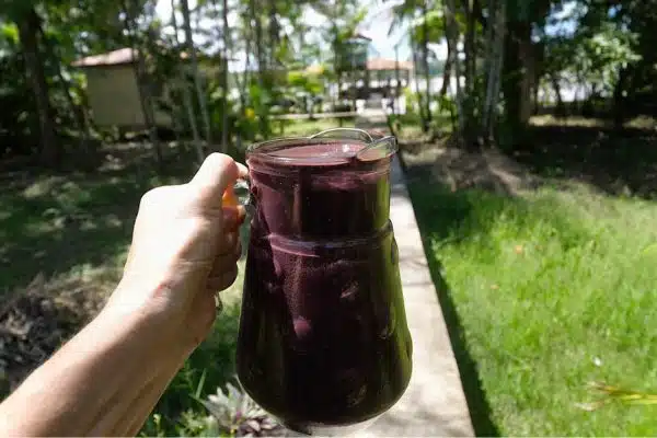 El superalimento del Açaí 