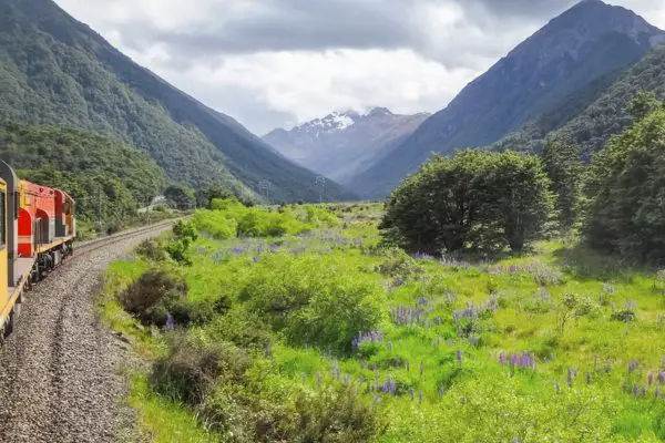 Tranzalpine Train: El mejor viaje en tren de Nueva Zelanda