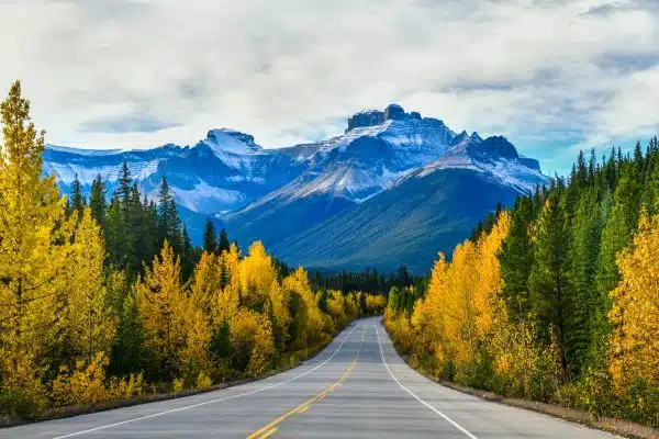 jasper national park