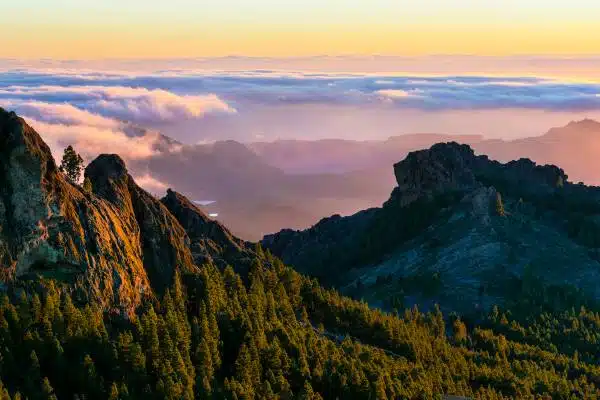 gran canaria que ver