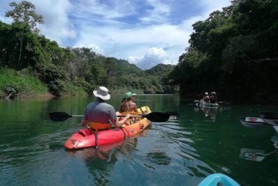 Kayak En Los Manglares De Marapendi: Descubre La Vida Silvestre De Río