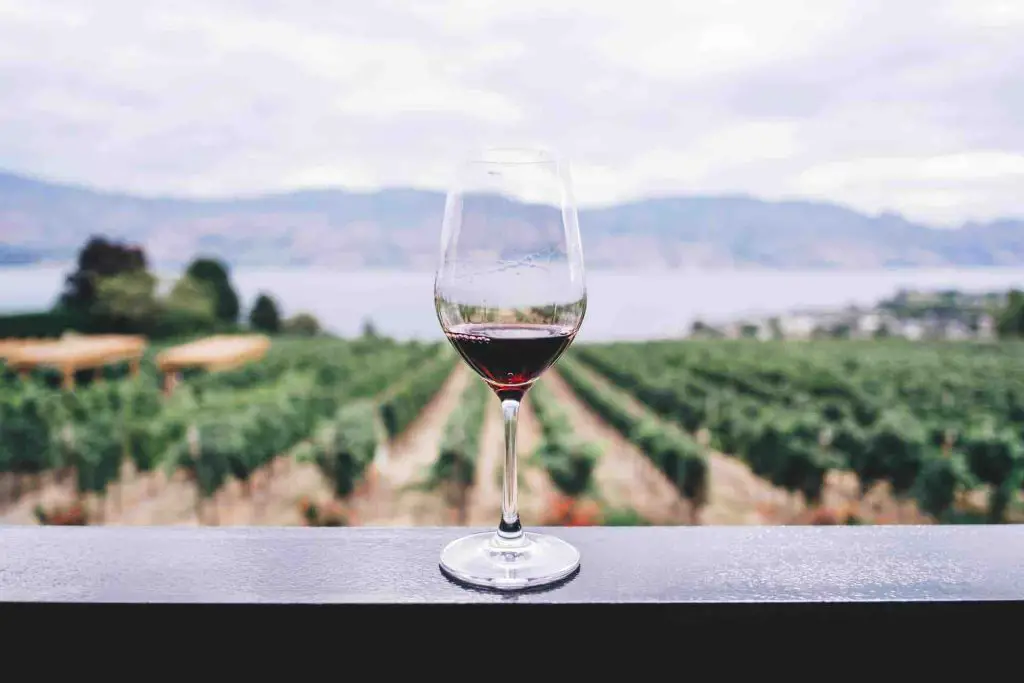 dónde comer y beber en la capital del vino de Francia – VISITA FRANCIA