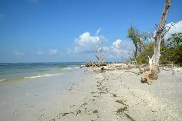 Parque Estatal de Cayo Costa, Fort Myers